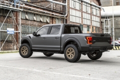 Ford-Raptor_Gray_Back