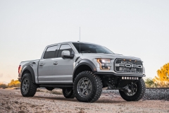 Ford_Raptor_Gray_D14_GNMTL