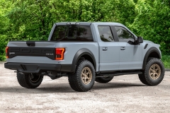 vrforged-d14-sbz-ford-raptor-gray-2