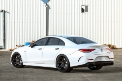 CLS-AMG_White_Back