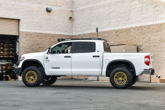 VRForged_Tundrawhite__fullsize-16-lowered