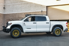 VRForged_Tundrawhite__fullsize-6-lowered